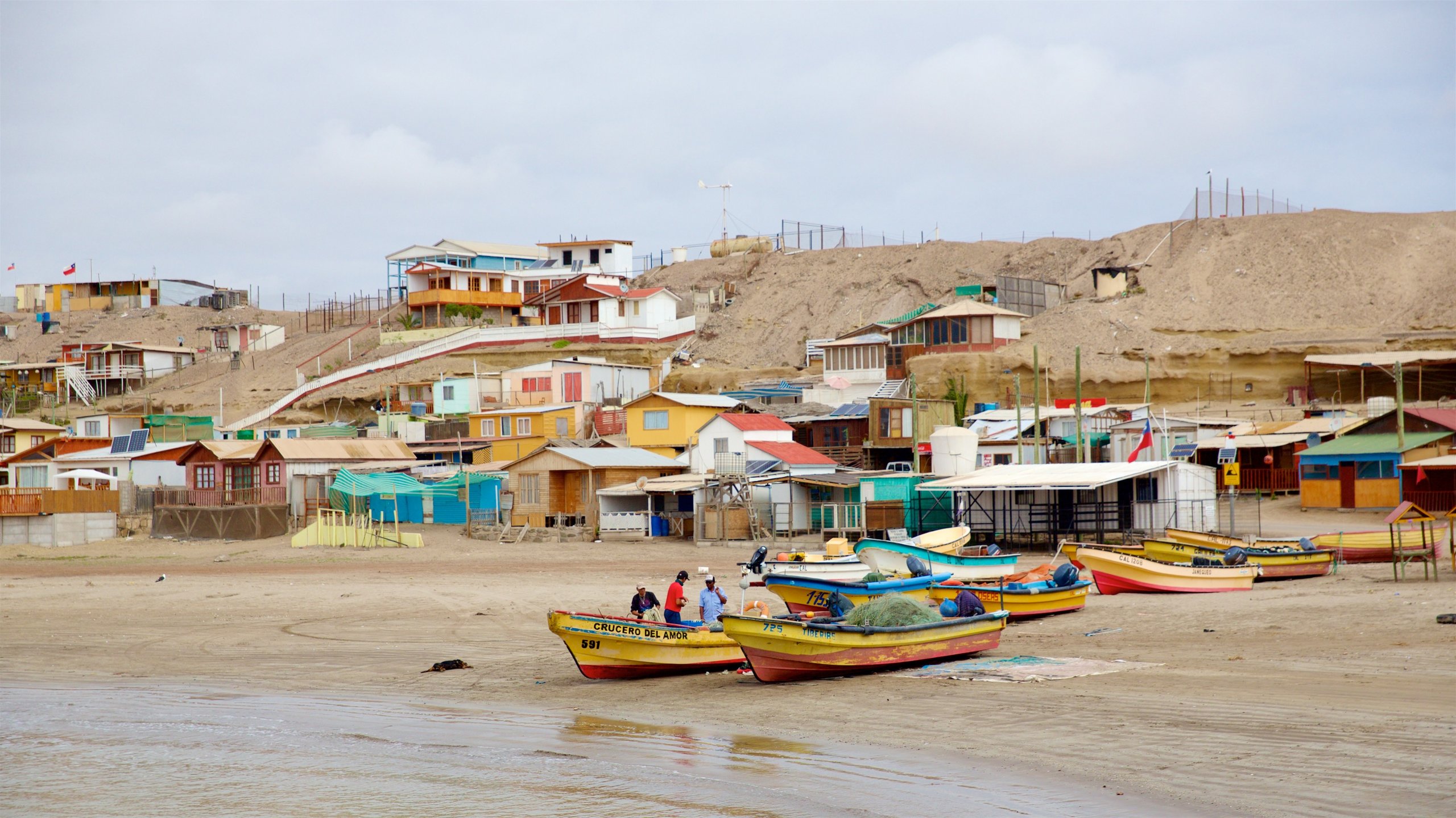 atacama kars copiapo 1