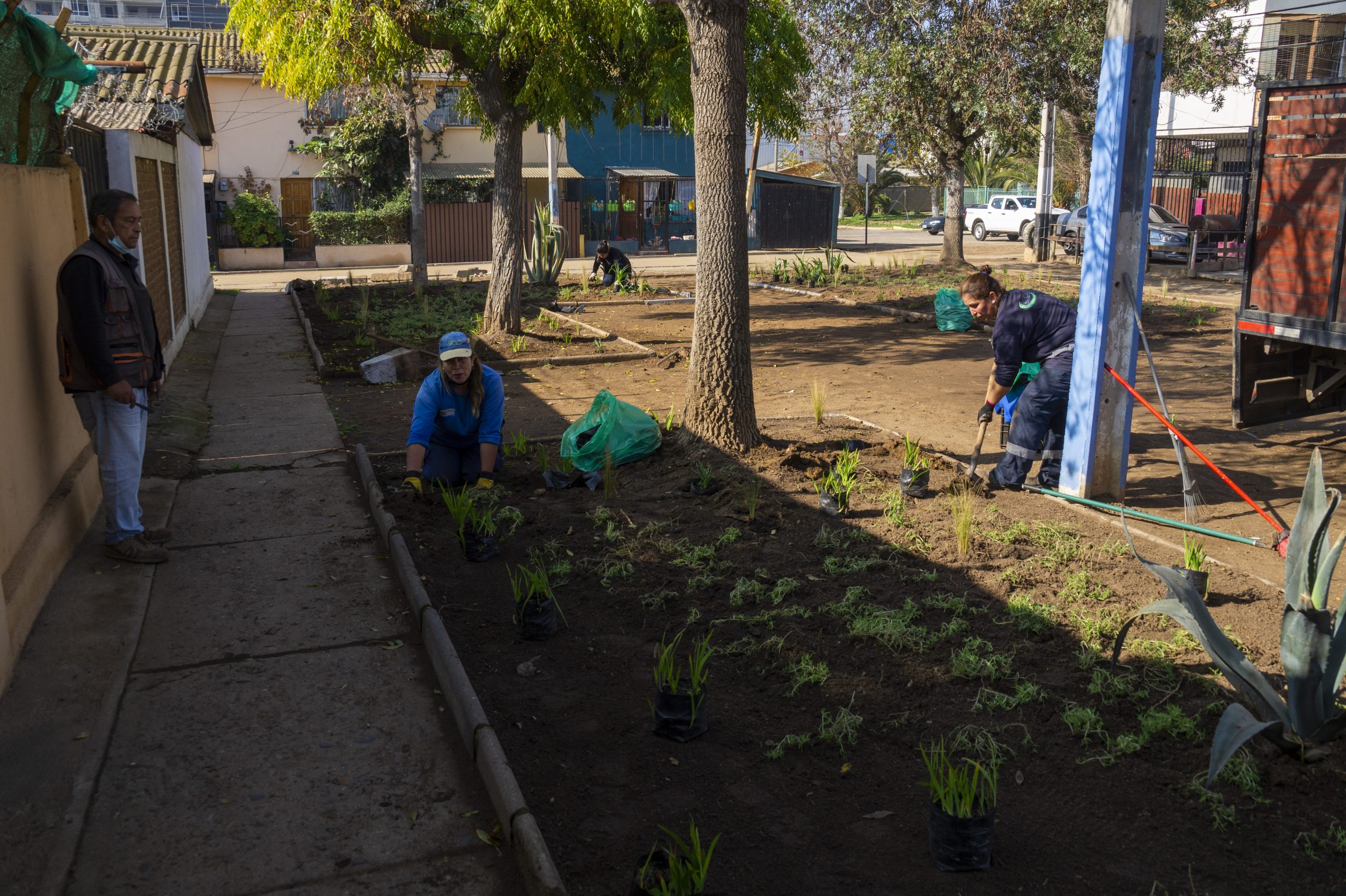comercial mr achupallas vina del mar