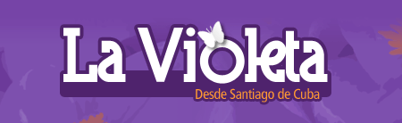 comercial violeta santiago