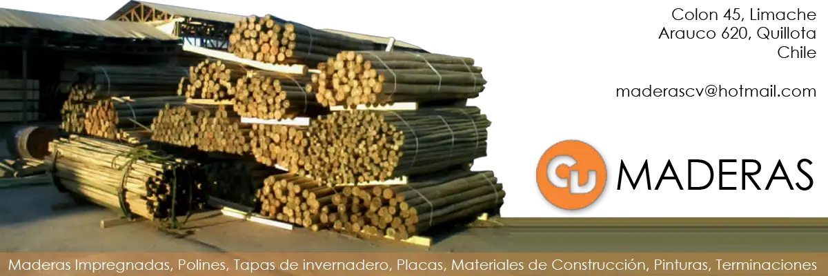 cortes rubilar waldo limache