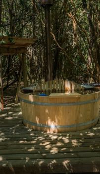 dimarsa federico errazuriz calbuco calbuco