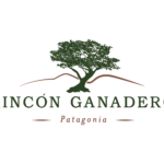 el rincon ganadero ltda punta arenas