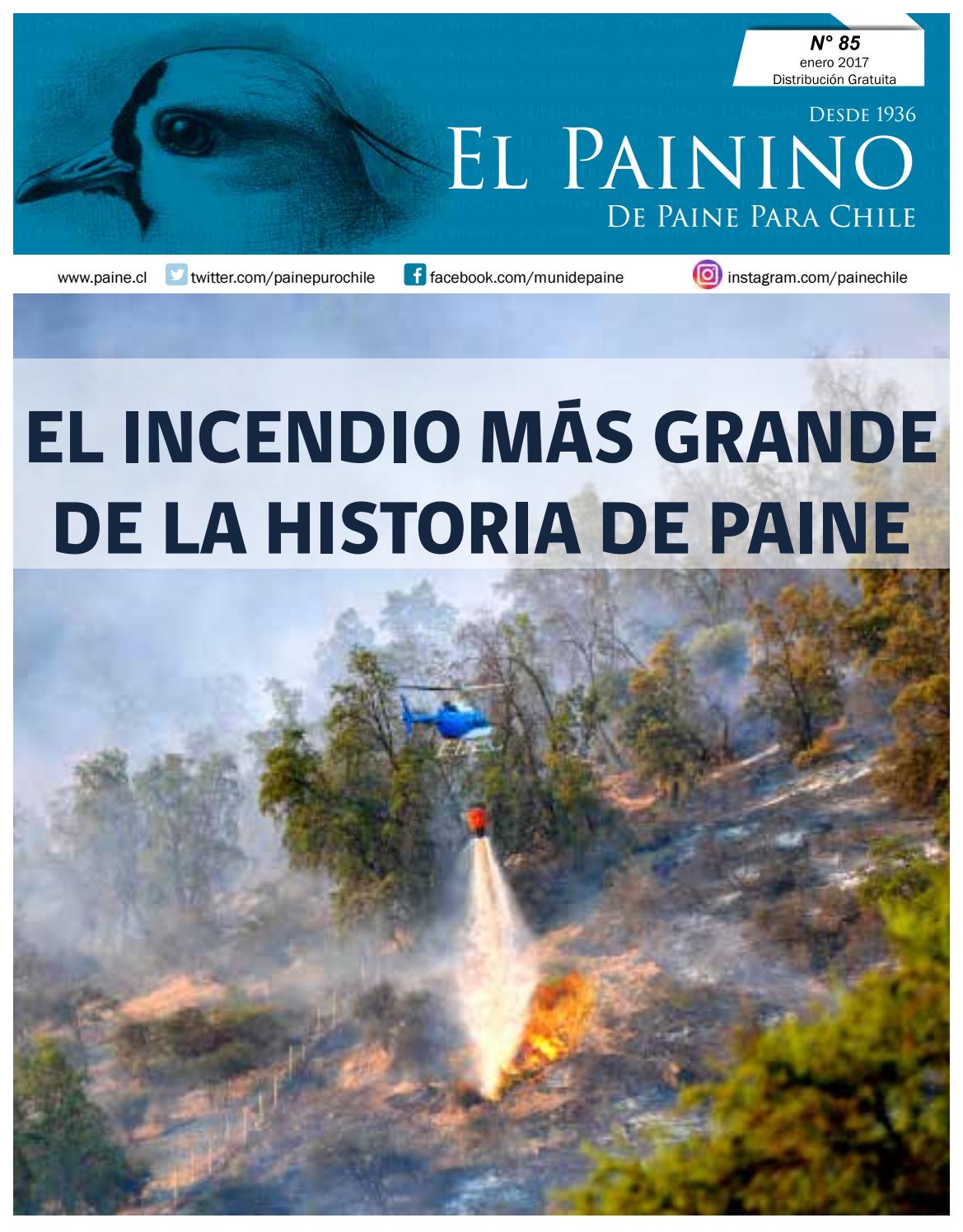 faundez saavedra jose rodrigo paine