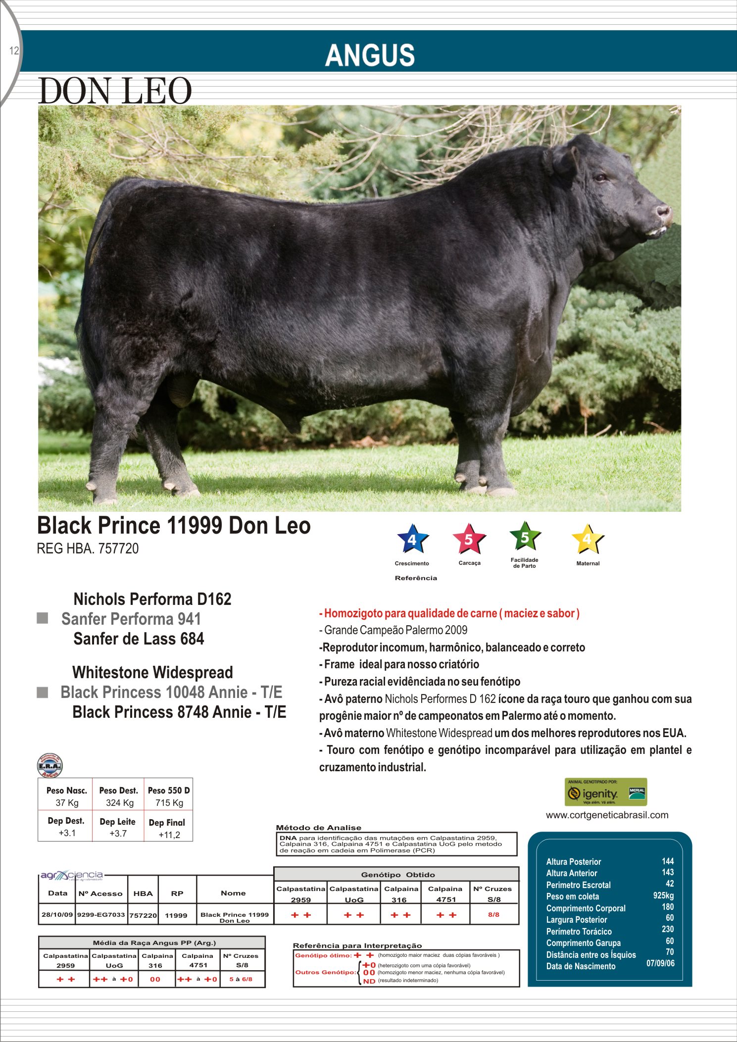 ferreteria don leo curico