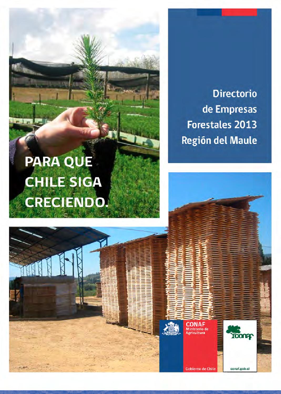 ferreteria duarte y cia rauco