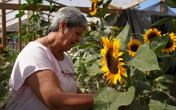 ferreteria girasol rancagua