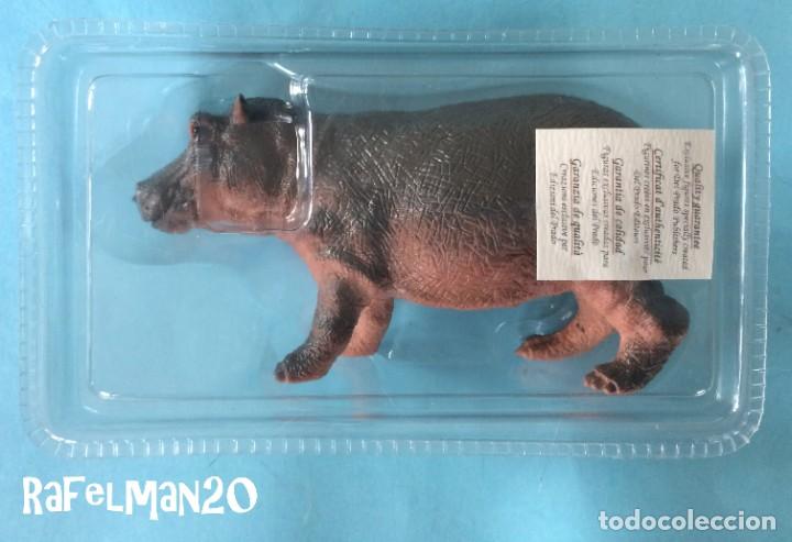 ferreteria hipopotamo lo prado
