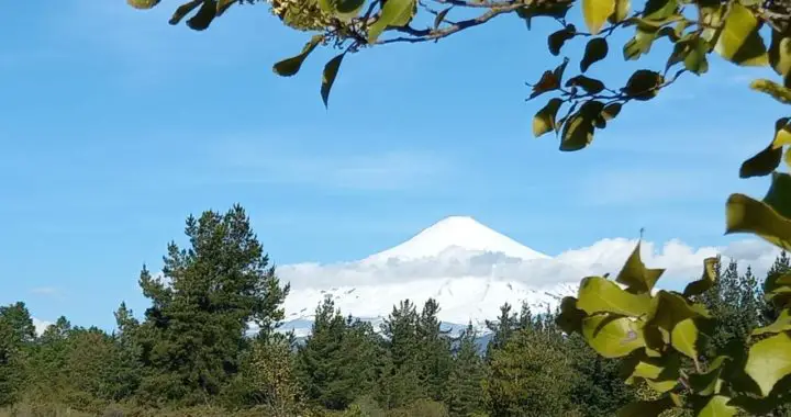 ferreteria huincacara villarrica