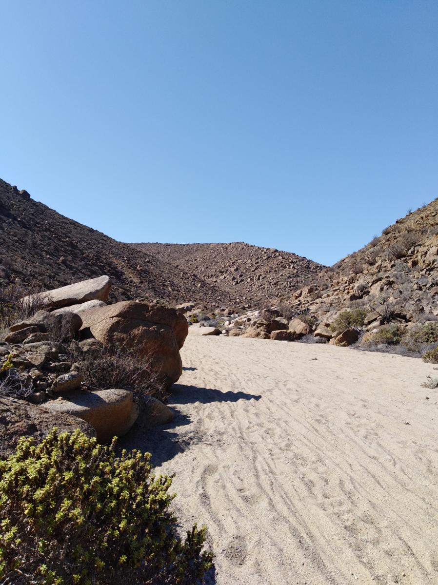 ferreteria nueva caldera burro muerto