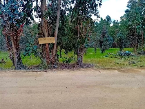 ferreteria pumanque pumanque