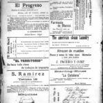 ferretetia antonia isla negra