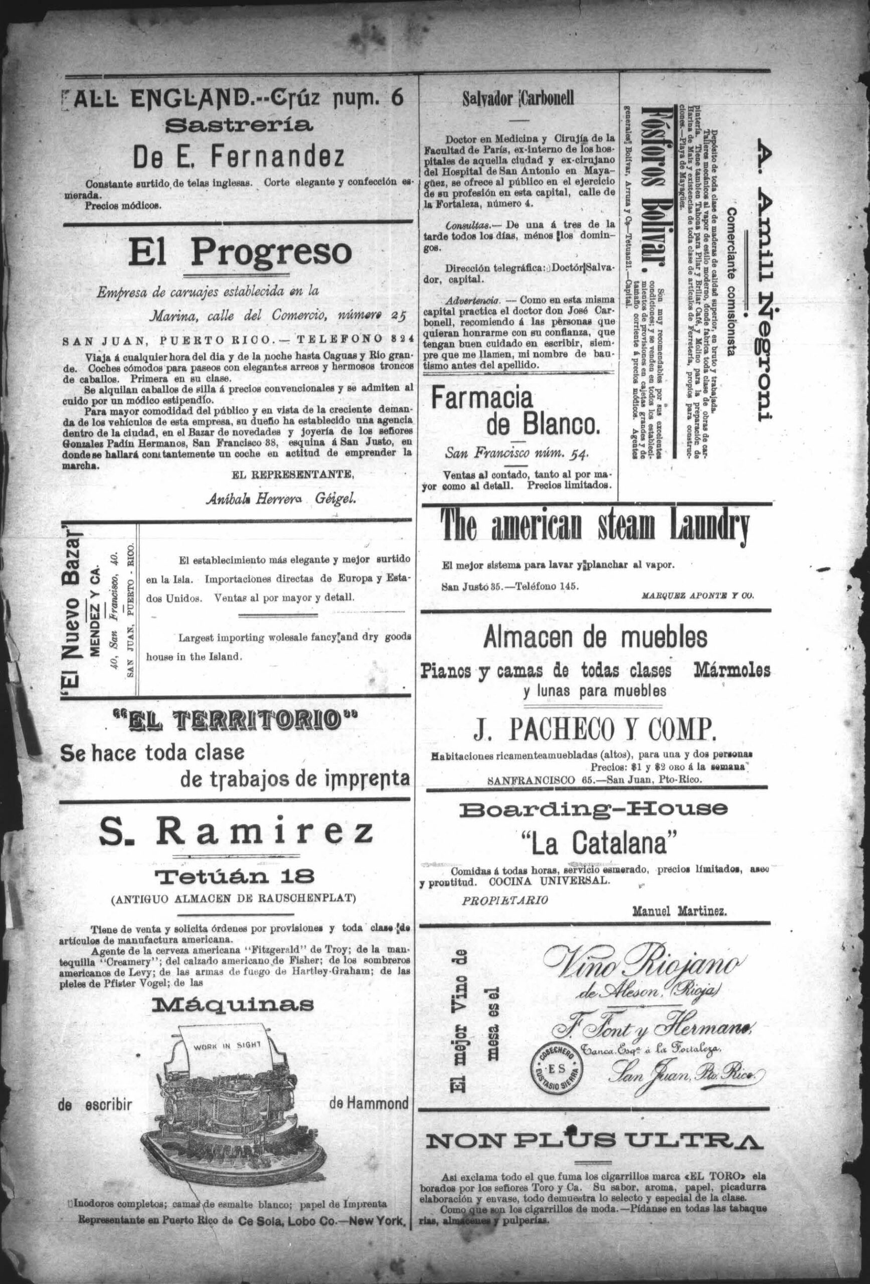 ferretetia antonia isla negra scaled