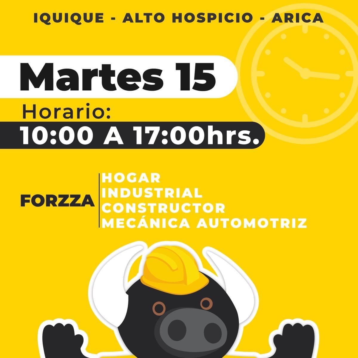 forzza industrial arica