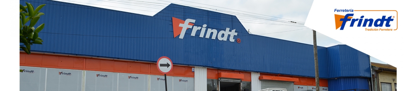 frindt s a temuco