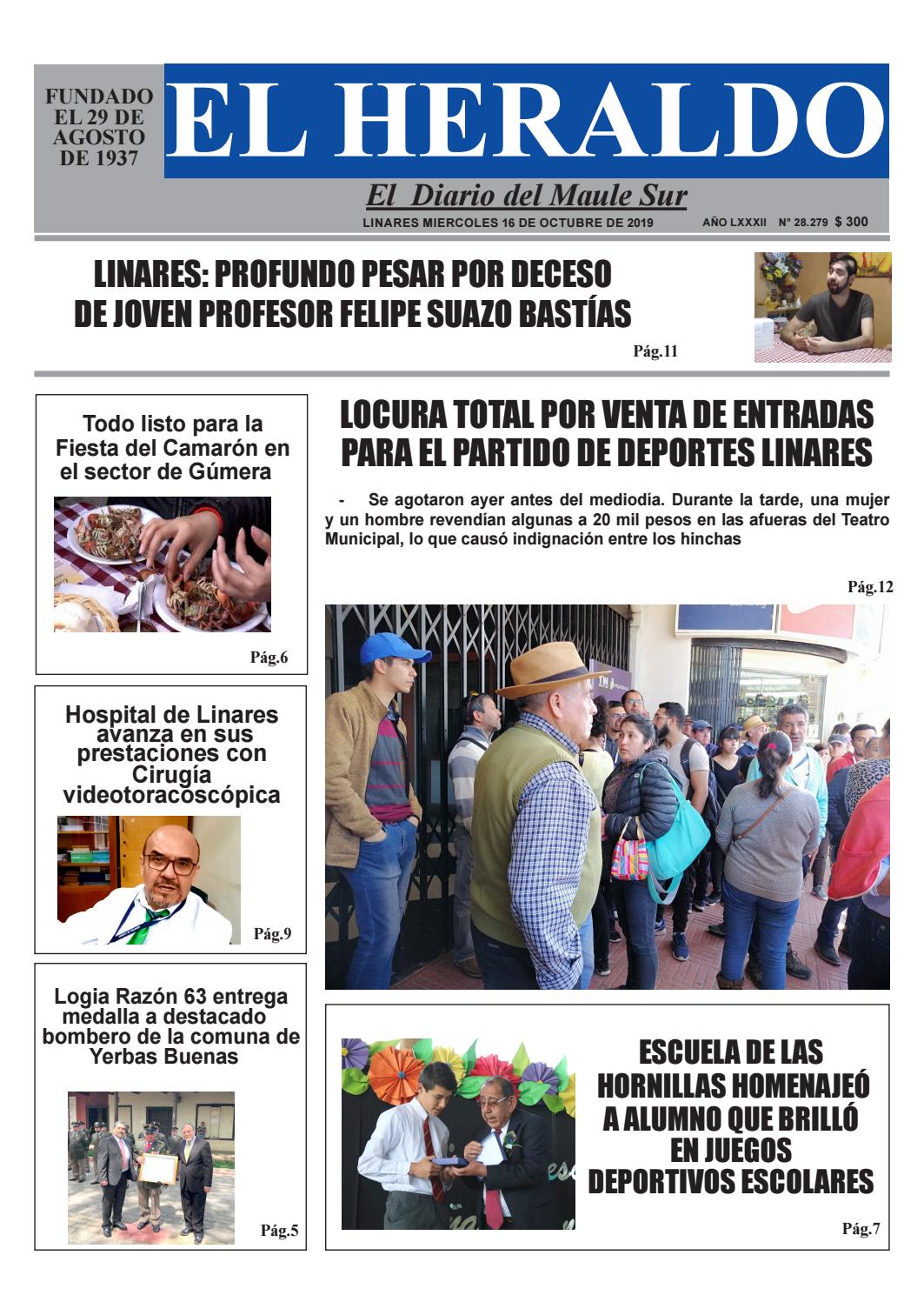 gerardo enrique andrades gajardo linares