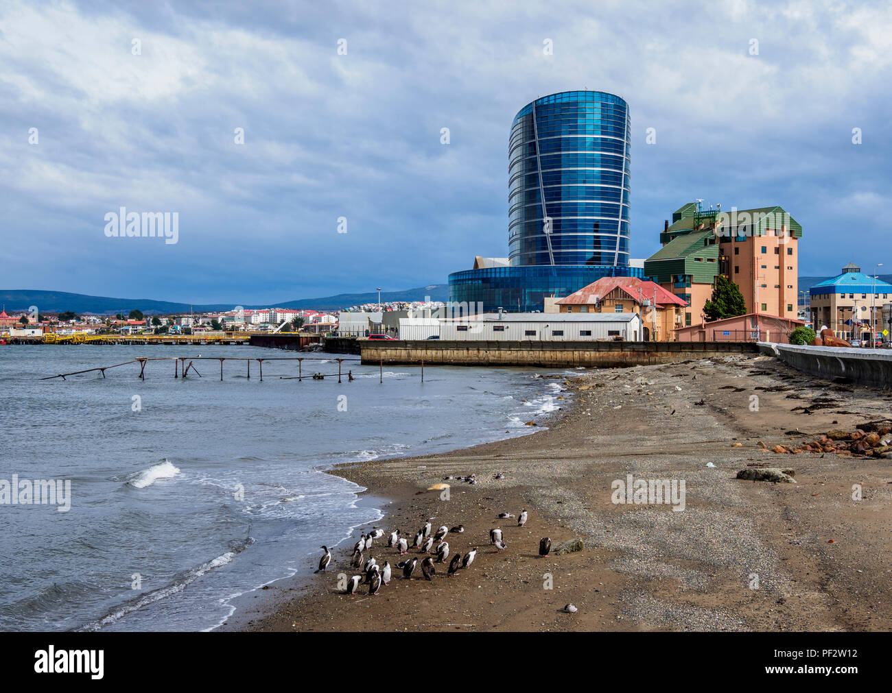 incoin magallanes punta arenas