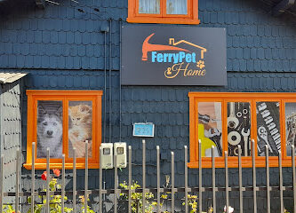 ingesan puerto varas