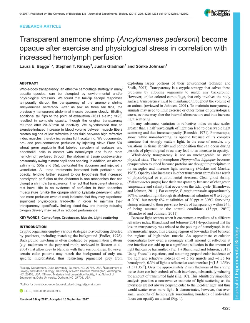 isegroup chile coquimbo