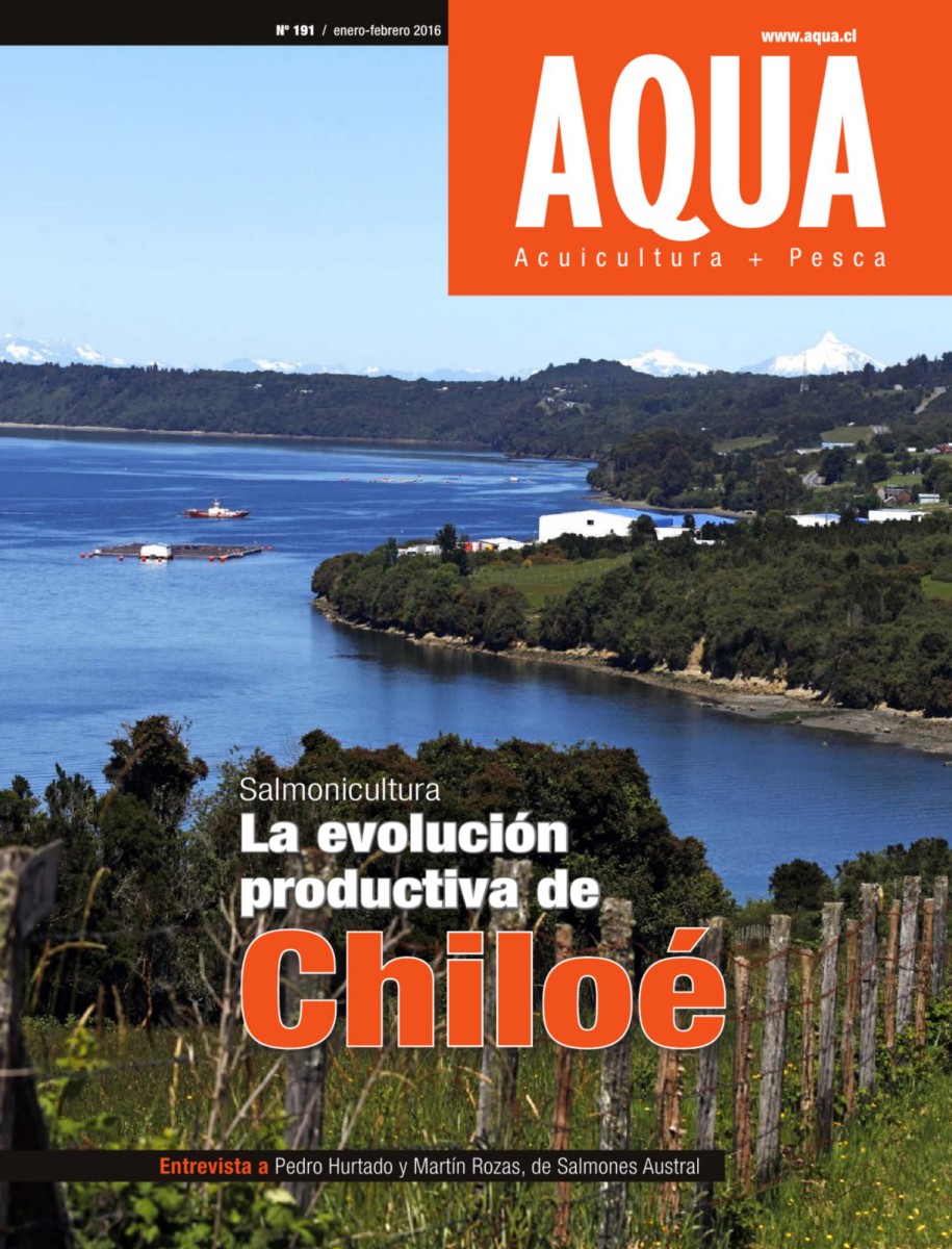 la casa del mitilicultor limitada calbuco