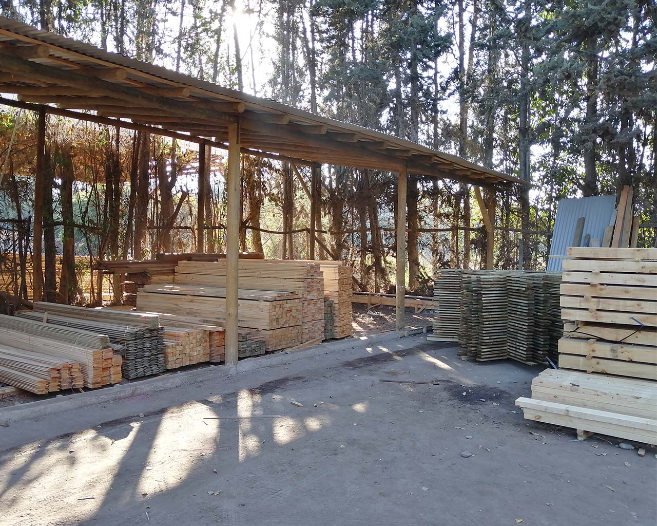 maderas 18 de septiembre paine