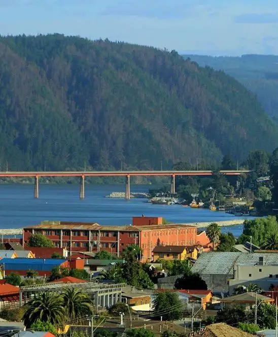 maderas rio maule constitucion