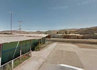 maria mercedes fernandez cerda diego de almagro