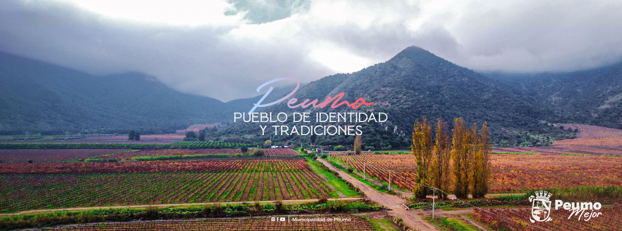 perfiles peumo peumo