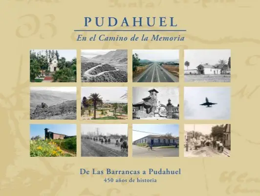 ricardo jose flores arratia pudahuel