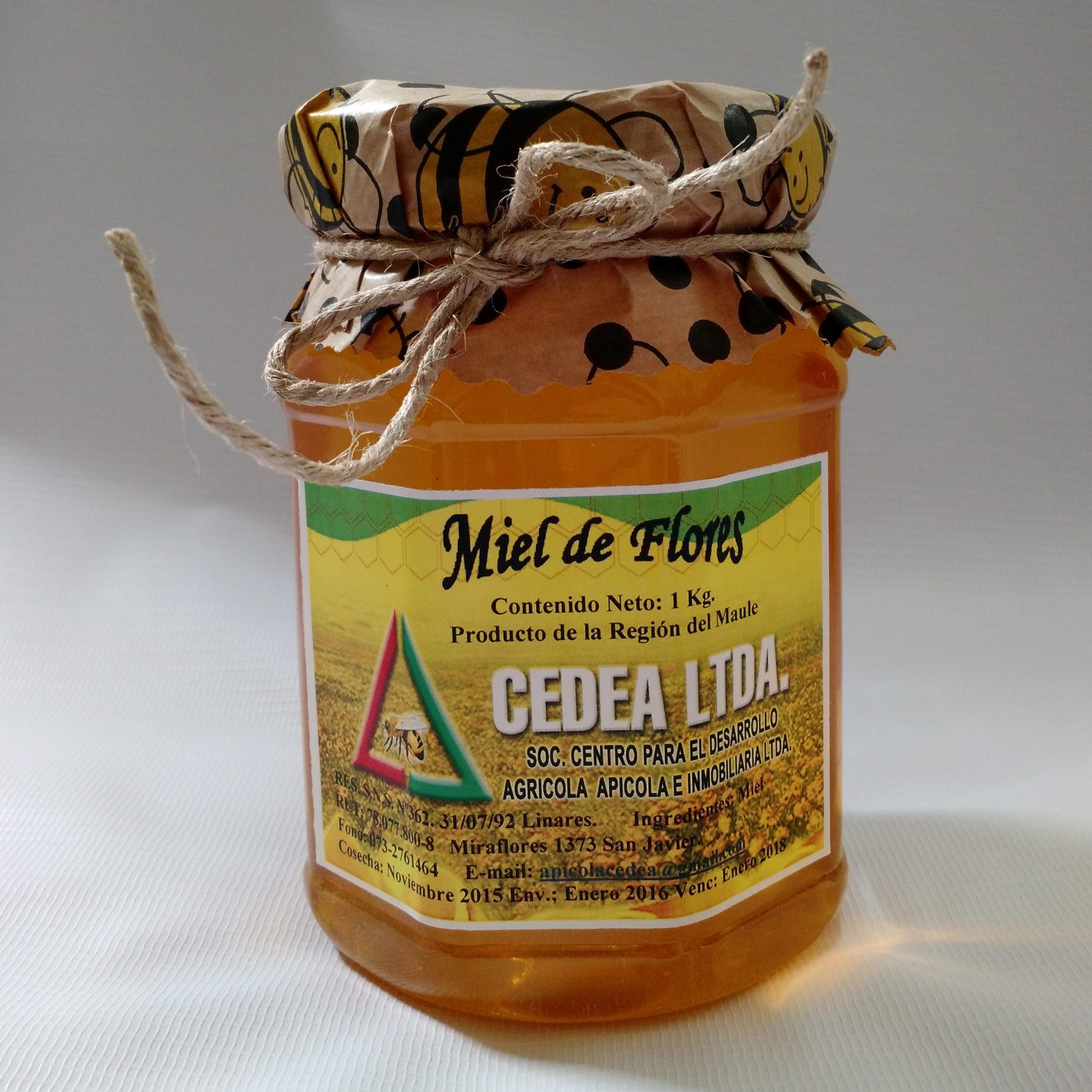 sociedad comercial amapola ltda san javier