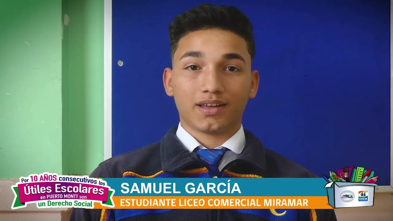 sociedad comercial garcia limitada puerto montt