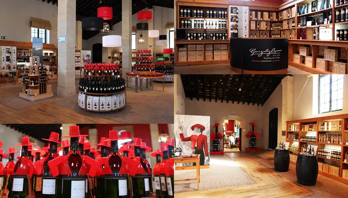 tienda tio pepe freirina