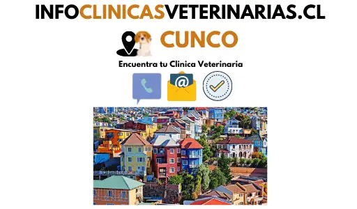 veterinaria y ferreteria llaima cunco