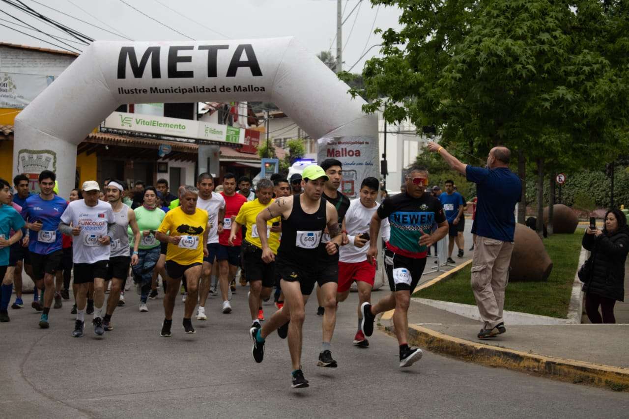 vitalelemento malloa malloa